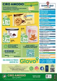 Volantino Ciro Amodio Pagina 12