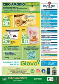 Volantino Ciro Amodio Pagina 12