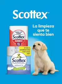 Catálogo Costco Página 126