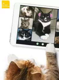 Catálogo Costco Página 54