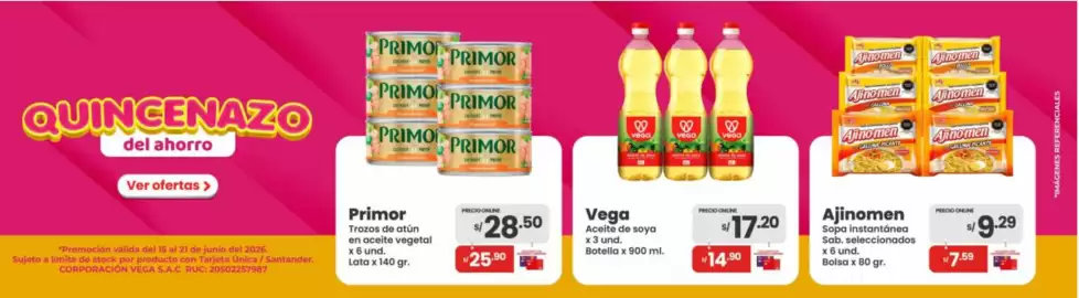 Catálogo Vega semana 25 Página 1