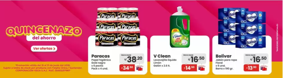 Catálogo Vega semana 25 Página 4