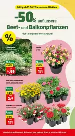 Thomas Philipps Prospekt woche 25 Seite 4