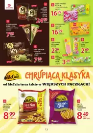 Selgros gazetka Strona 13