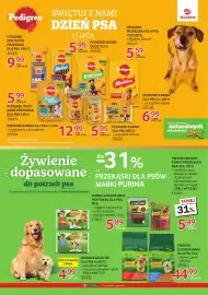 Selgros gazetka Strona 15