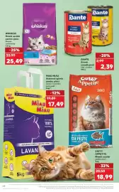 Catalog Kaufland săptămâna 25 Pagină 64
