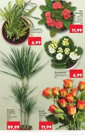 Catalog Kaufland săptămâna 25 Pagină 9