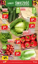 Polomarket gazetka tydzień 25 Strona 10