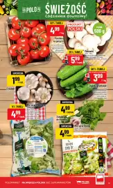 Polomarket gazetka tydzień 25 Strona 11