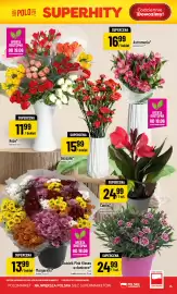 Polomarket gazetka tydzień 25 Strona 15