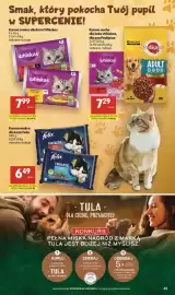 Delikatesy Centrum gazetka tydzień 25 Strona 45