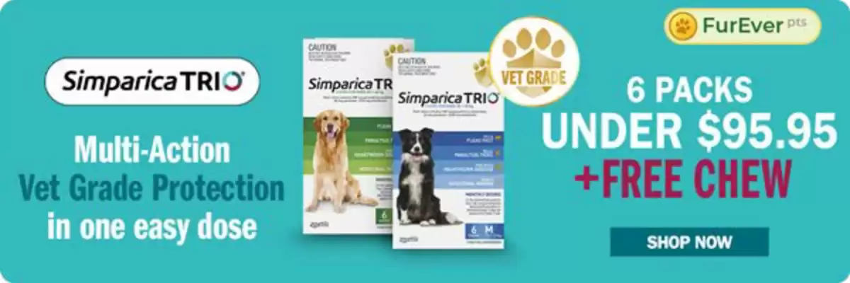 Budget Pet Products (valid until 22-06)