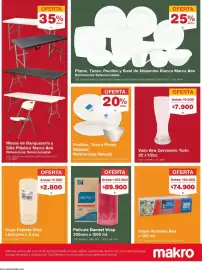 Catálogo Makro semana 25 Página 11