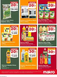 Catálogo Makro semana 25 Página 5