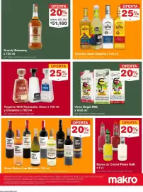 Catálogo Makro semana 25 Página 8