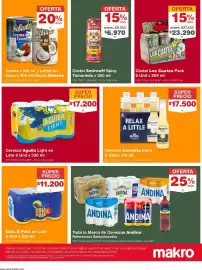 Catálogo Makro semana 25 Página 9