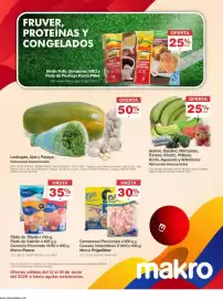 Catálogo Makro semana 24 Página 14
