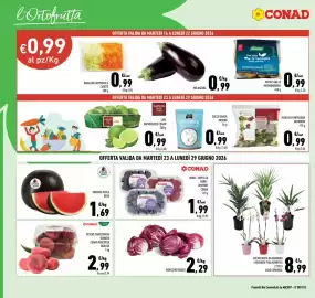 Volantino Conad Pagina 4