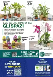 Volantino In'S Mercato Pagina 13