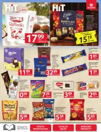 Selgros gazetka Strona 17