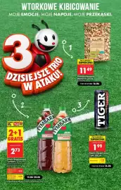 Biedronka gazetka tydzień 25 Strona 3