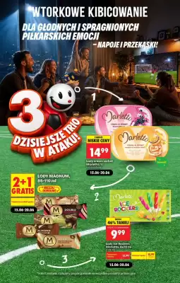 Biedronka (ważność do 20-06)