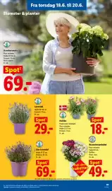 Lidl tilbudsavis Side 7