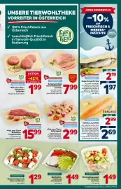 Billa Flugblatt woche 25 Seite 5