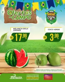 Catálogo Supermercado Precito Página 13