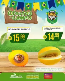 Catálogo Supermercado Precito Página 15