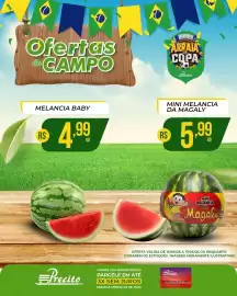 Catálogo Supermercado Precito Página 16