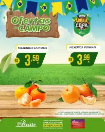 Catálogo Supermercado Precito Página 5