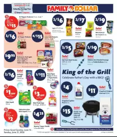 Family Dollar weekly ad week 25 Page 1