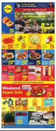 Lidl weekly ad week 25 Page 1