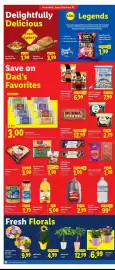 Lidl weekly ad week 25 Page 2