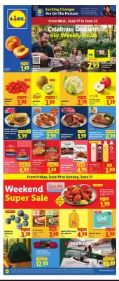 Lidl weekly ad