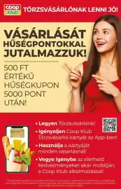 Coop akciós újság | abc es szuper Oldal 3