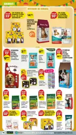 Folheto Pingo Doce semana 25 Página 50