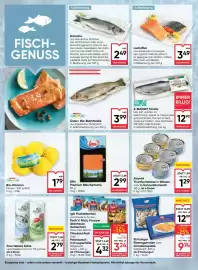 Maximarkt Flugblatt woche 25 Seite 6