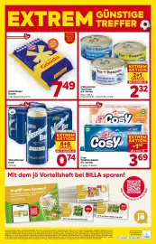 Billa Flugblatt woche 25 Seite 16
