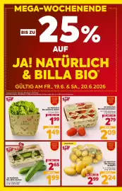 Billa Flugblatt woche 25 Seite 2