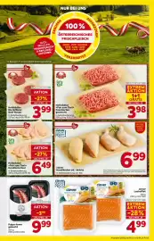 Billa Flugblatt woche 25 Seite 5