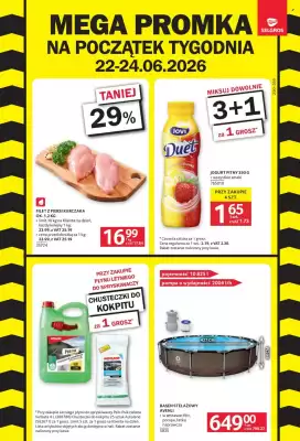 Selgros (ważność do 24-06)