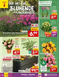 Netto Marken-Discount Prospekt woche 26 Seite 34