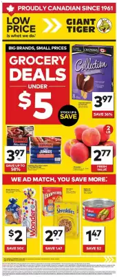 Giant Tiger (valid until 23-06)