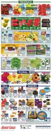 Jewel-Osco weekly ad week 25 Page 10