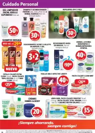 Folleto Farmacias Guadalajara Página 12