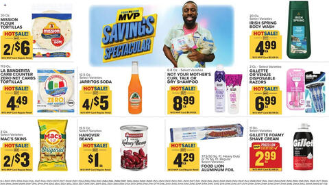 Food Lion weekly ad week 25 Page 16