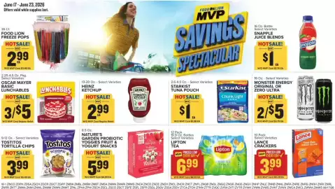 Food Lion weekly ad week 25 Page 13