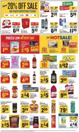 Food Lion weekly ad week 25 Page 8